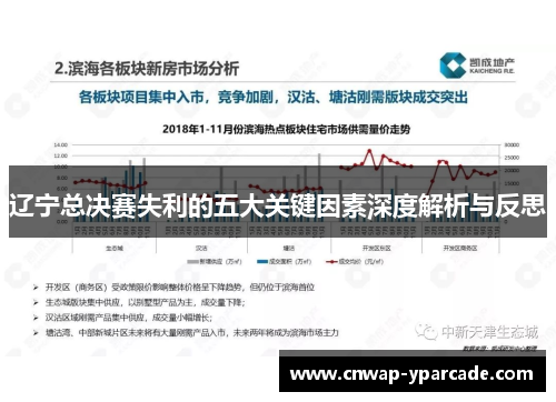 辽宁总决赛失利的五大关键因素深度解析与反思