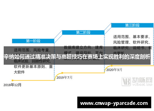 辛纳如何通过精准决策与高超技巧在赛场上实现胜利的深度剖析