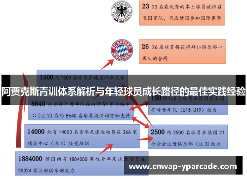 阿贾克斯青训体系解析与年轻球员成长路径的最佳实践经验
