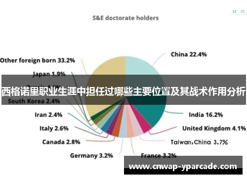 西格诺里职业生涯中担任过哪些主要位置及其战术作用分析