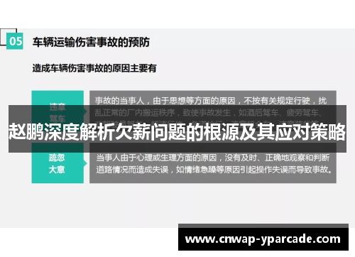 赵鹏深度解析欠薪问题的根源及其应对策略