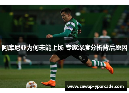 阿库尼亚为何未能上场 专家深度分析背后原因