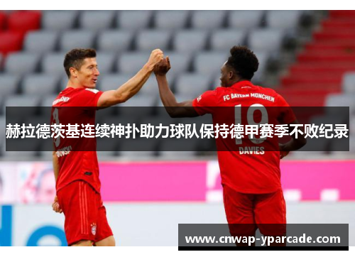 赫拉德茨基连续神扑助力球队保持德甲赛季不败纪录