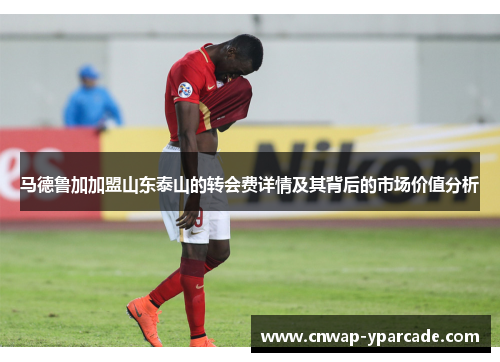马德鲁加加盟山东泰山的转会费详情及其背后的市场价值分析