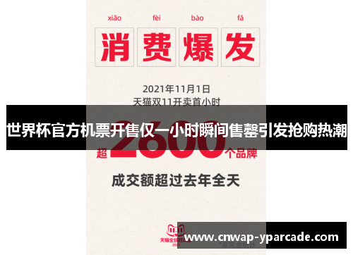 世界杯官方机票开售仅一小时瞬间售罄引发抢购热潮